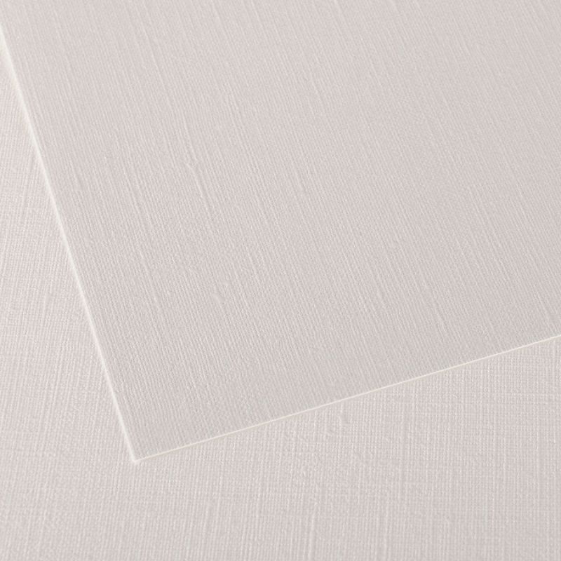 Canson Figueras 290g 50x65 851103, öljy-ja akryyliväripaperi