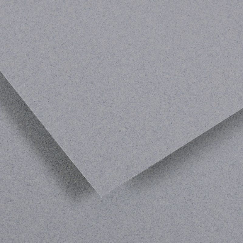 Canson Ingres vidalon 100g 50x65 39 Sky grey, pastellipaperi