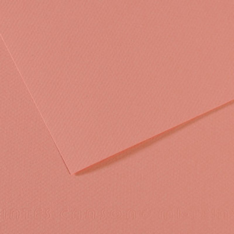 Canson Mi-teintes 160g 50x65 352 Orchid, värikartonki