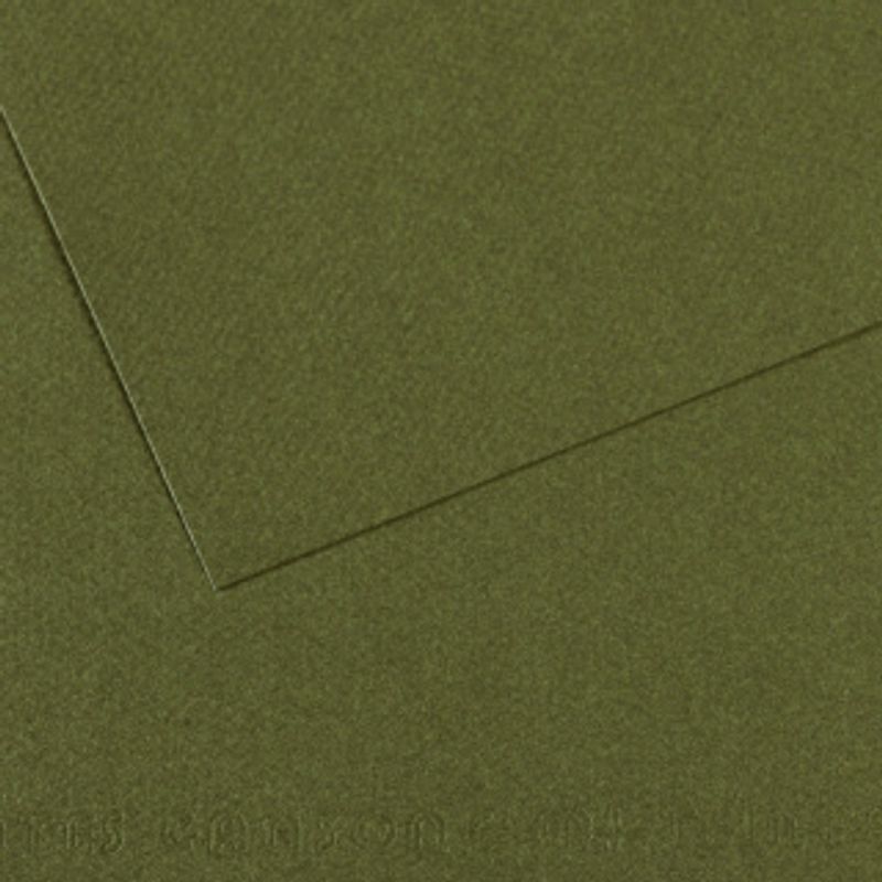 Canson Mi-teintes 160g 50x65 448 Ivy, värikartonki
