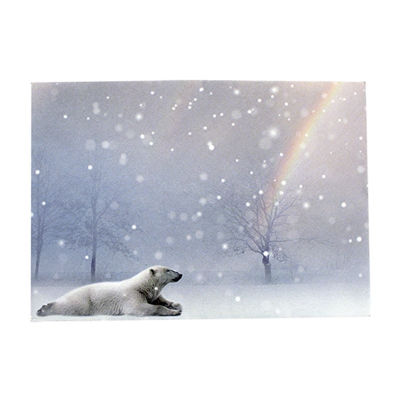P. ILOX kirjekuori C6 Jääkarhu 10 kpl 100g, joulu 21