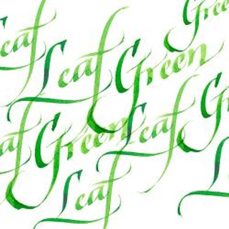 T WN Calligraphy ink 30 ml341 Leaf green, kalligrafiamuste