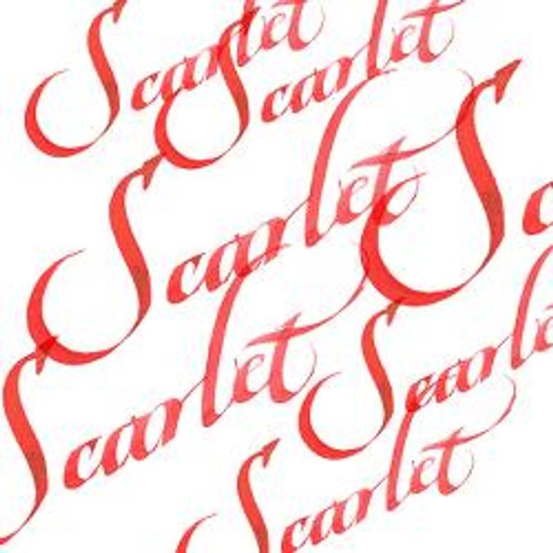 WN Calligraphy ink 30 ml601 Scarlet, kalligrafiamuste