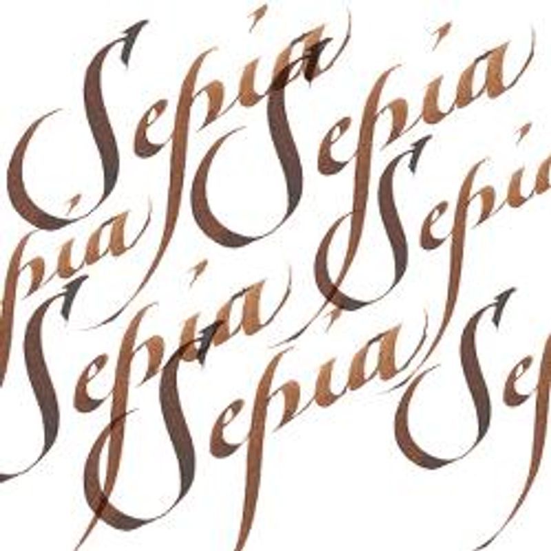 WN Calligraphy ink 30 ml609 Sepia, kalligrafiamuste