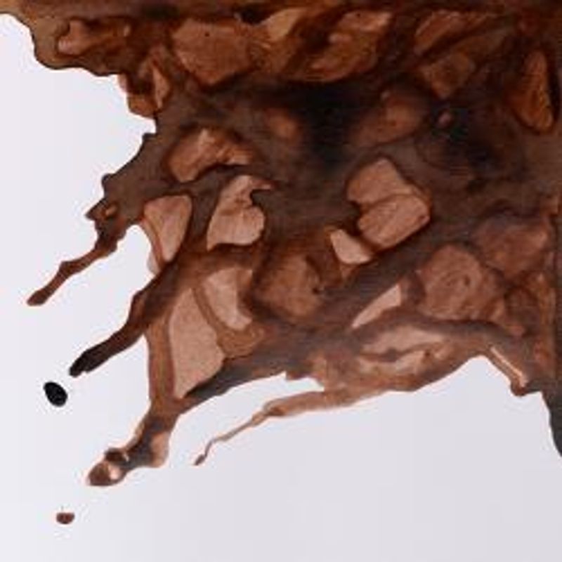 WN Drawing Ink 469 Peat brown, 14ml piirustustussi