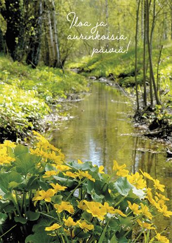 Toimitustapa: Sisäinen