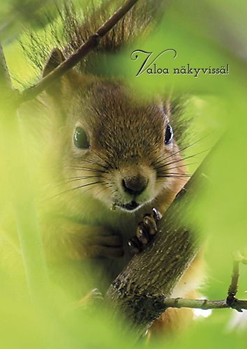 Toimitustapa: Sisäinen