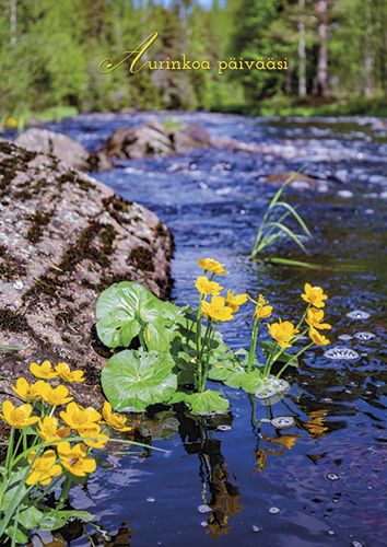 Toimitustapa: Sisäinen
