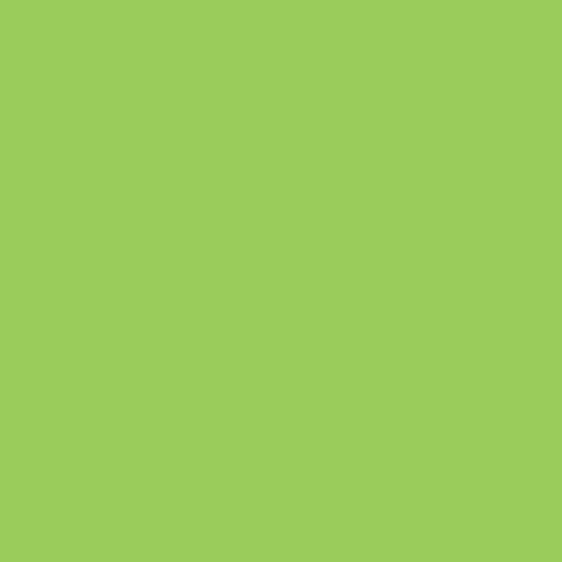 WN Promarker Leaf green (G258)