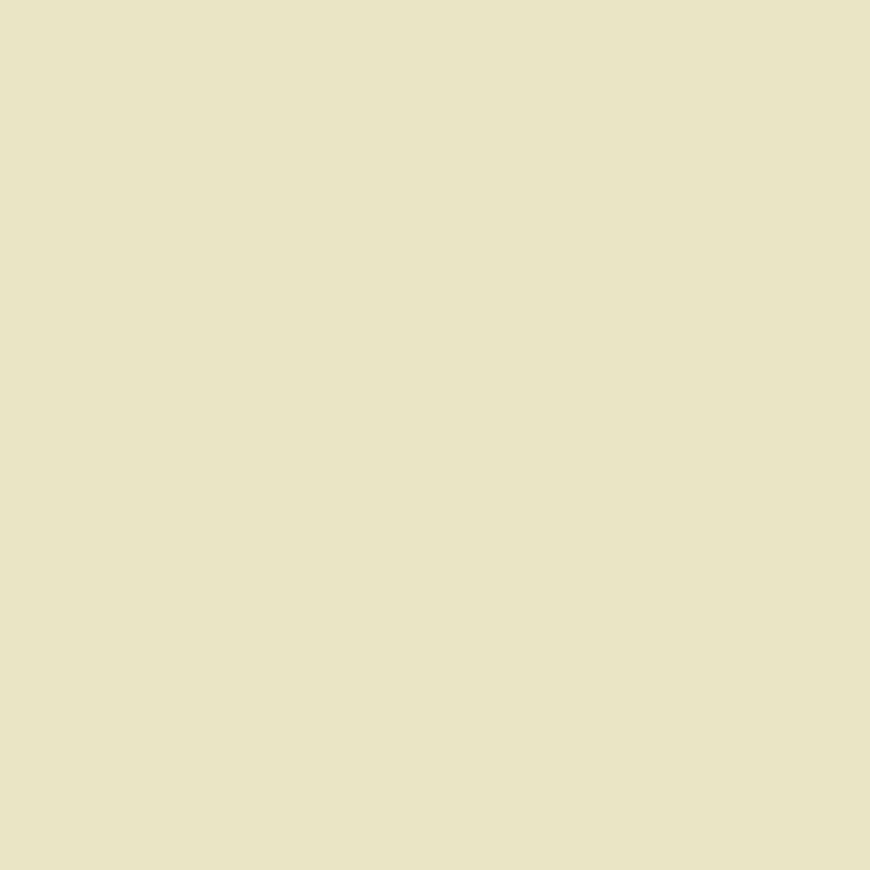 WN Promarker Pastel beige (Y717)