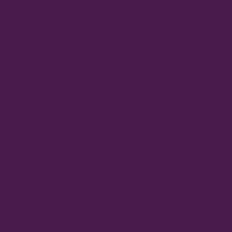 WN Promarker Aubergine (V524)