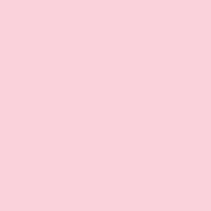WN Promarker Pale pink (R519)