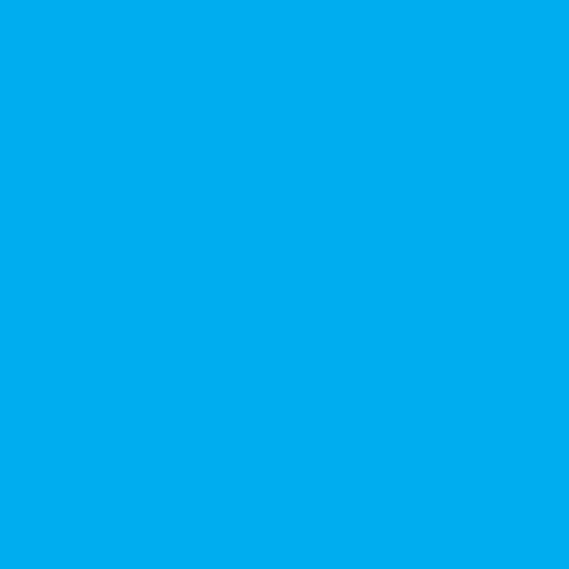 WN Promarker Cyan (C847)