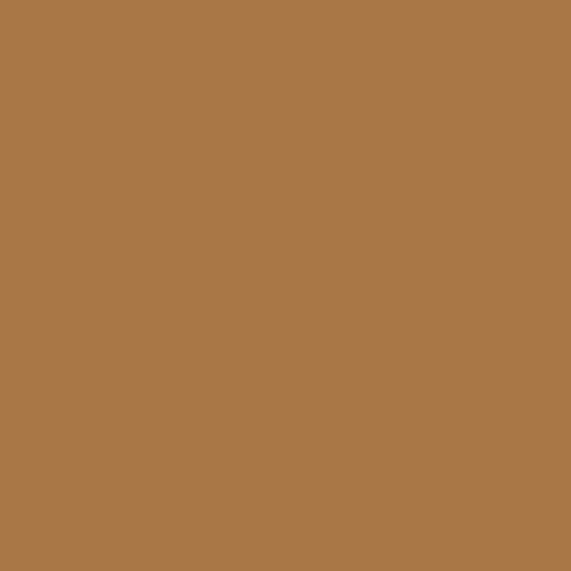 WN Promarker Cocoa (O535) x