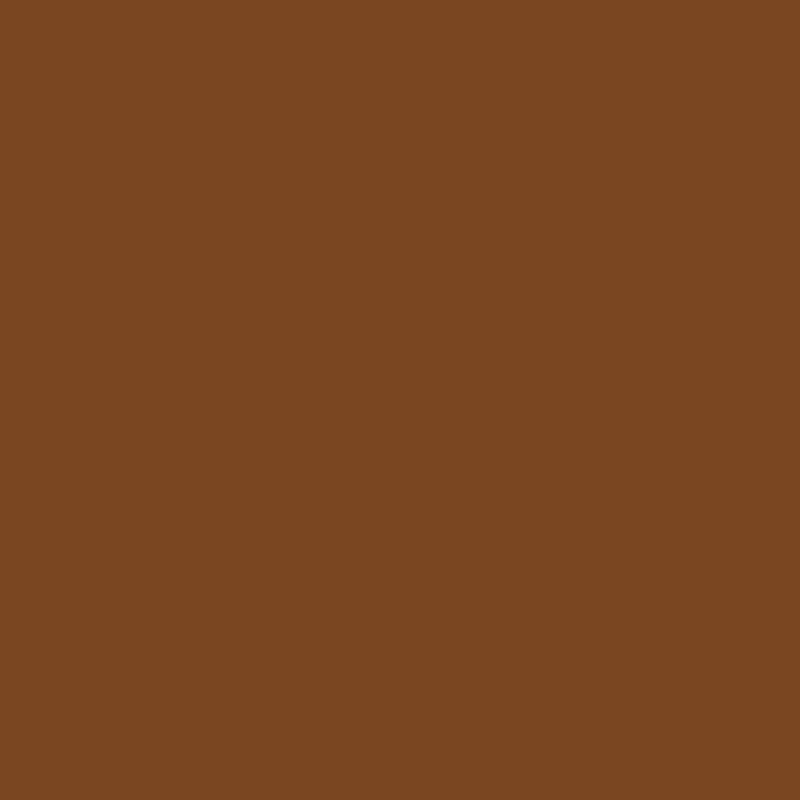WN Promarker Burnt sienna (O324)