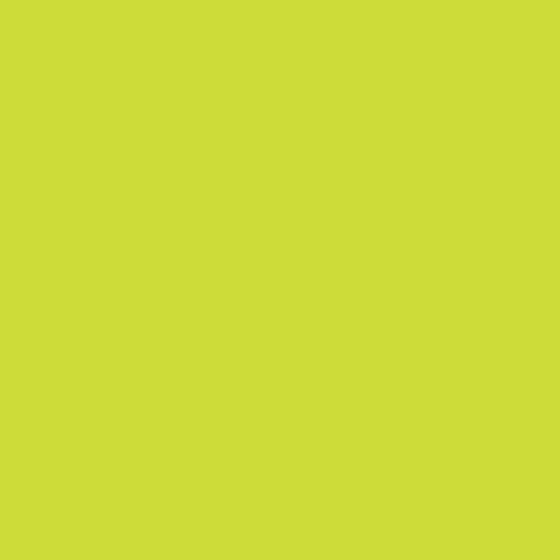 WN Promarker Lime green (G178) x