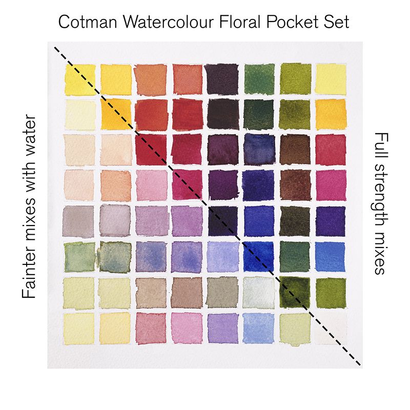WN Cotman Pocket Floral 8 x 1/2 nappia, akvarellilajitelma
