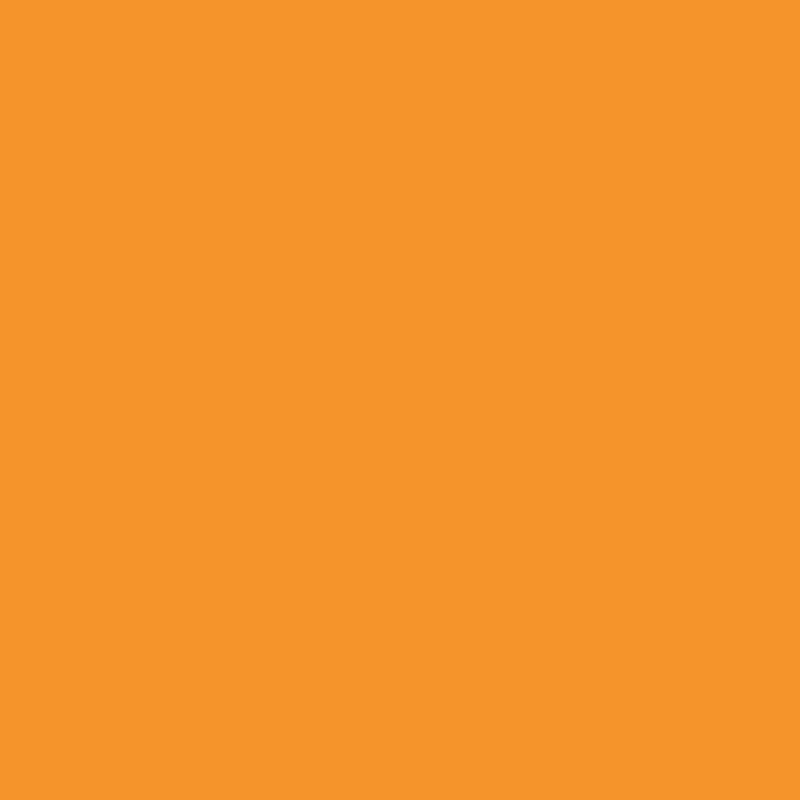 WN Promarker Amber (O567) x