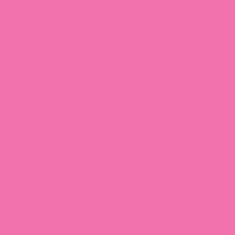 WN Promarker Cerise (M647) x