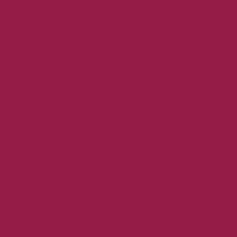 WN Promarker Burgundy (R424) x