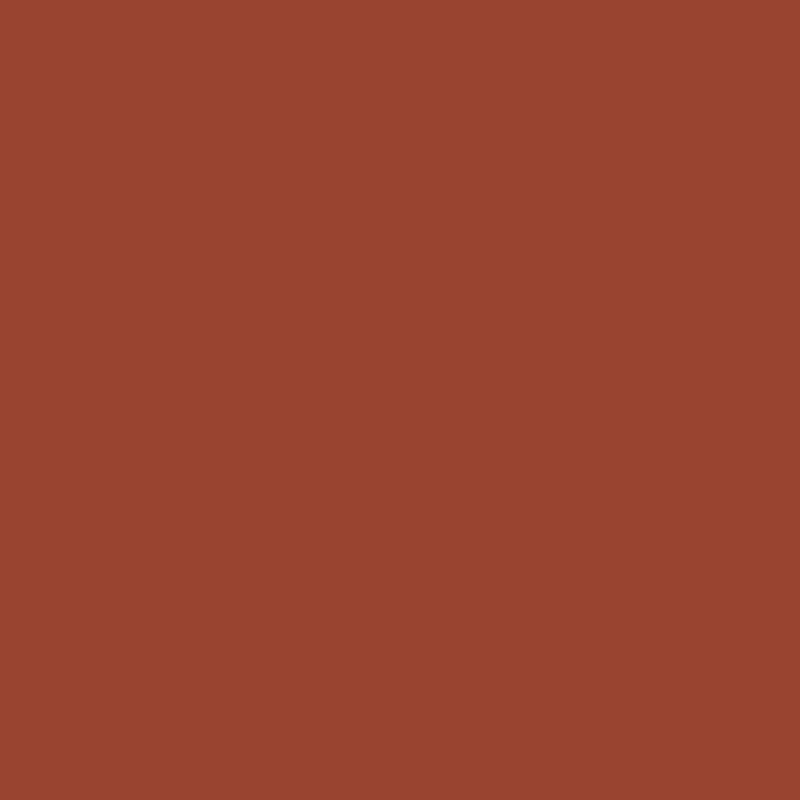 WN Promarker Chestnut (R934)