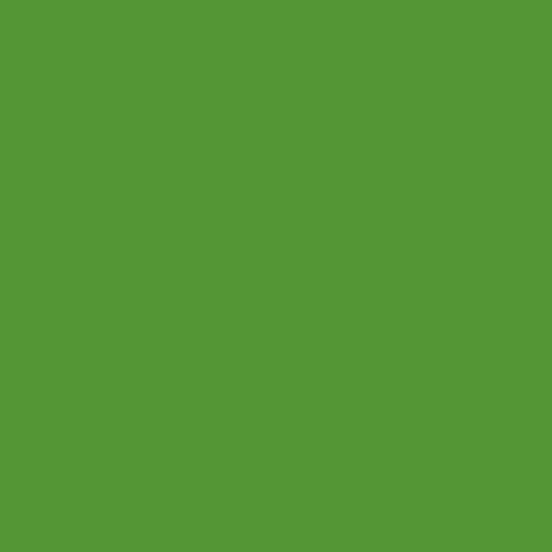 WN Promarker Forest green (G356) x