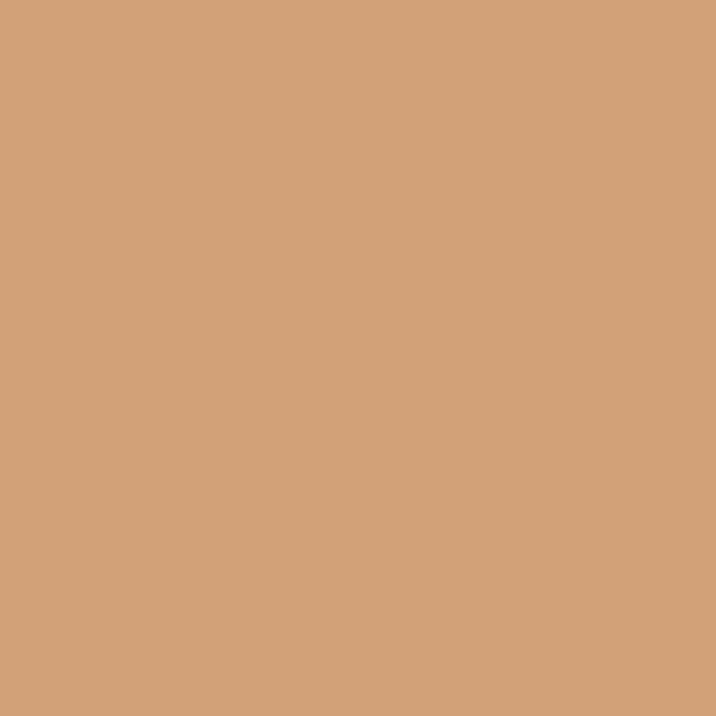 WN Promarker Cinnamon (O427)