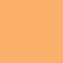 WN Promarker Apricot (O538)